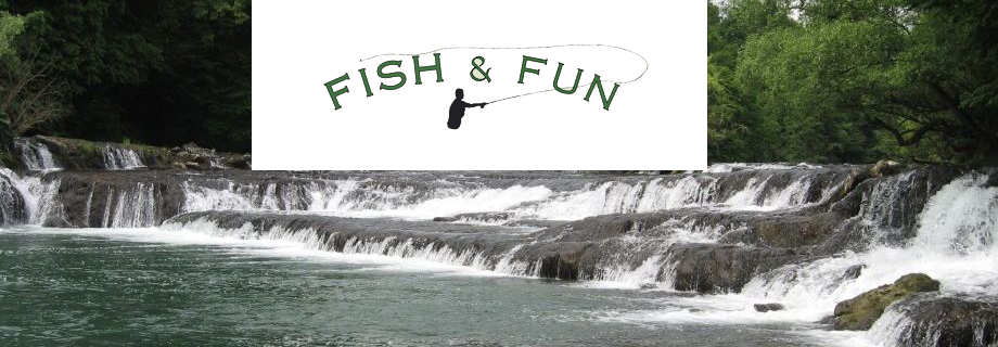 Fish and Fun