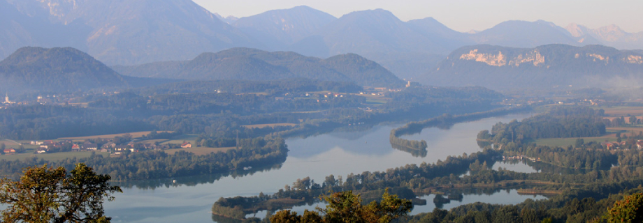 Drau Völkermarkter Stausee rechtsufrig