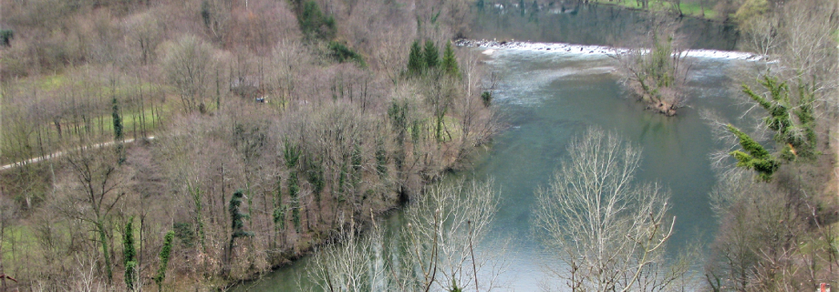 Kolpa-3a-RD-Crnomelj-huchen-grayling-Slovenia.jpg