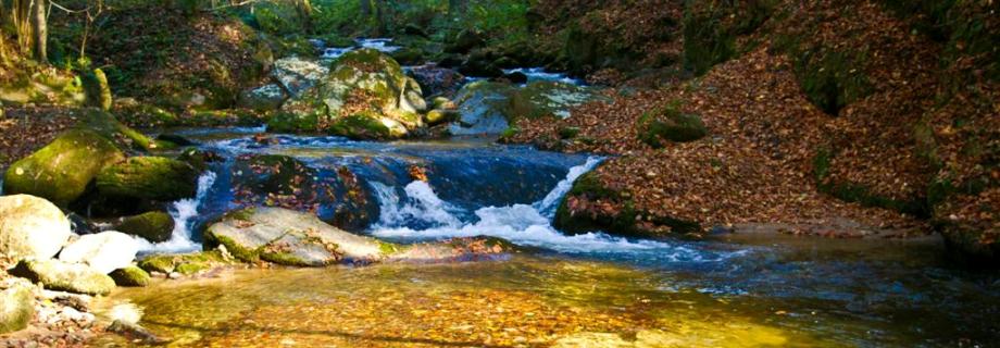 SL.BISTRICA-slovenia.jpg