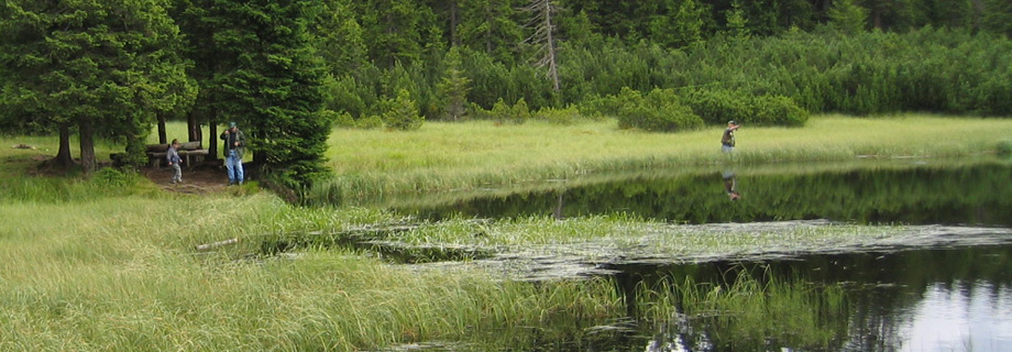 Črno jezero