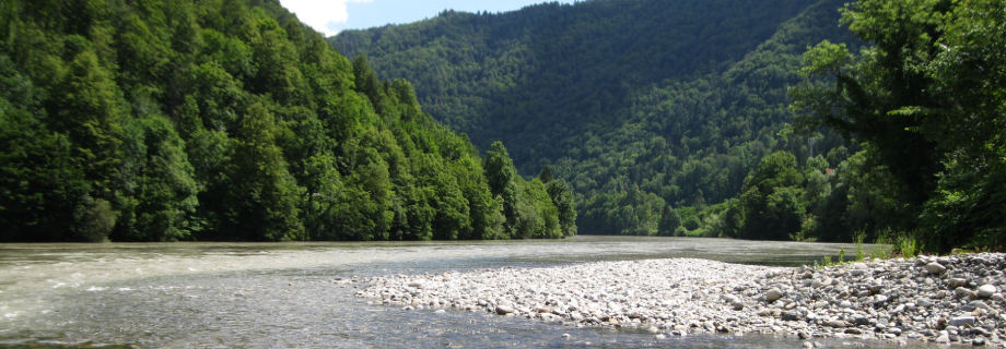 Drava 5