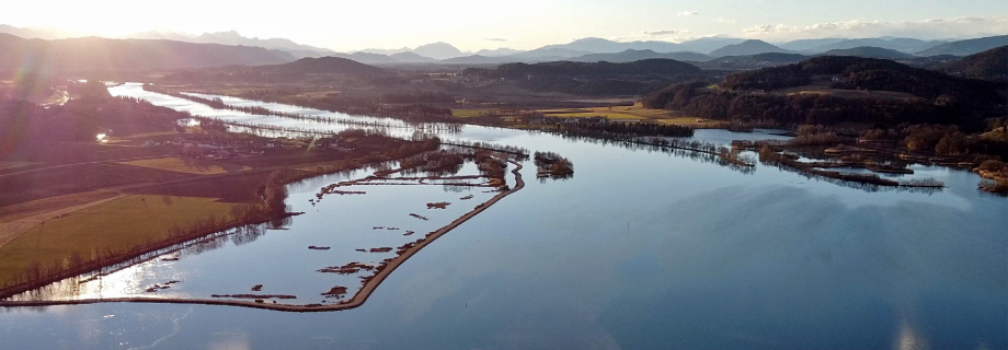 familie-hribernig-karnten-carinthia-fishing-angeln-karpfen-volkermarkter-stausee.jpg