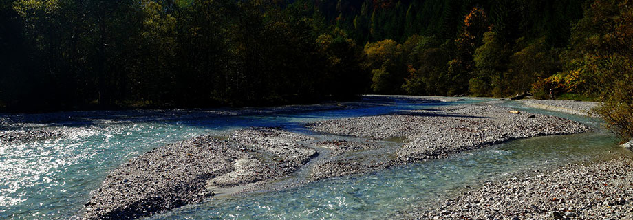 Potok Pišnica (07)