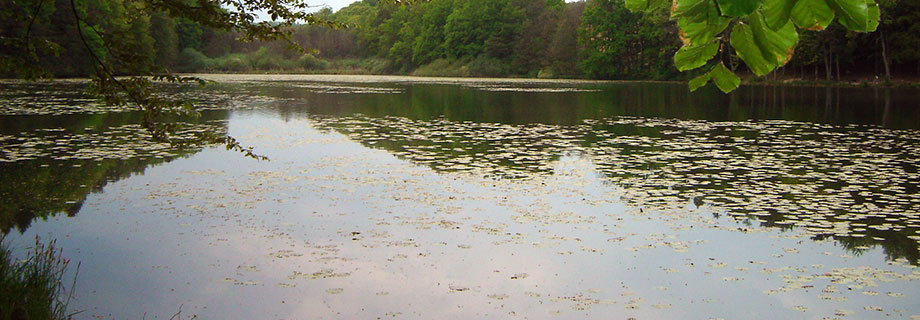 Negova jezero-del