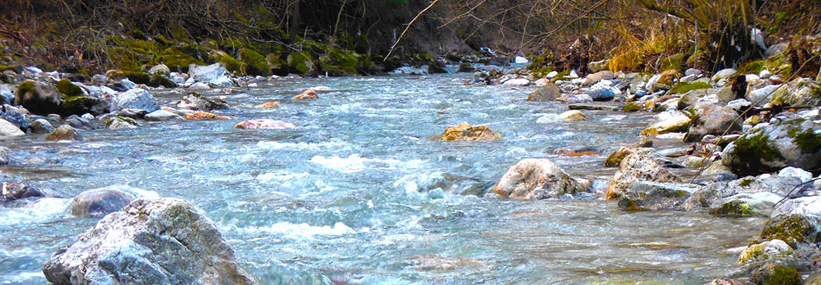 Mošenik in Tržiška Bistrica