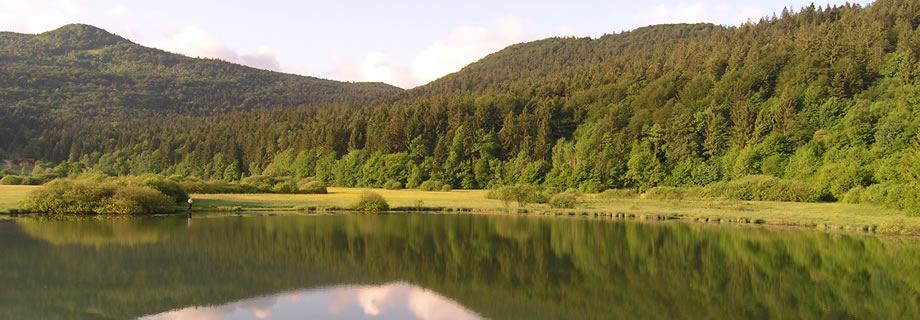 Krimsko (Podpeško) jezero