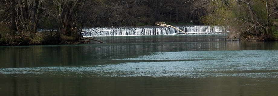 ribiska-druzina-novo-mesto-revir-krka-2-3.jpg