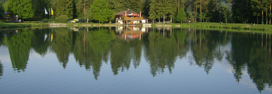 ribnik-gaj-mozirje-savnijska-carp-fishing-slovenia-krapolov.jpg