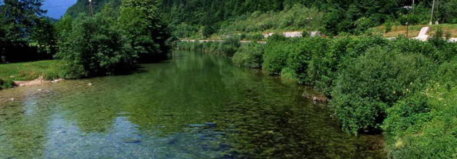 Sava Bohinjka 3